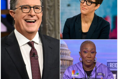 The Rebellion Will Be Televised: Inside the Secret Newsroom Built by Maddow, Colbert, and Reid
