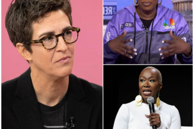 The $27 Million Question: Inside the Maddow-Reid Pay Gap and the Media’s Uncomfortable Silence