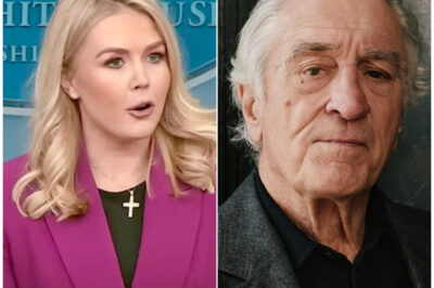 The Takedown: How Robert De Niro’s Quiet Rebuke Shattered a Pundit’s Confidence and Stunned a Nation