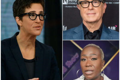The Rebellion of the Titans: Inside the Audacious Plan by Maddow, Colbert, and Reid to Burn Down the Media Establishment and Build Something New