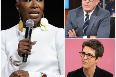 The Unfiltered Trinity: Why Rachel Maddow, Stephen Colbert, and Joy Reid Are Betting Their Legacies on a News Revolution