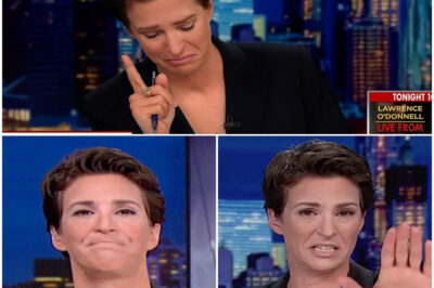 It was a night no one will ever forget—Rachel Maddow, the tenacious veteran reporter, broke down in tears on air. Fighting back tears as she recounted heartbreaking stories of children separated from their parents, Maddow’s voice cracked—and then the truth hit her harder than anyone expected. It wasn’t the stress of her job. It was a devastating reality she couldn’t keep hidden from the newsroom. But what exactly pushed her to that breaking point?