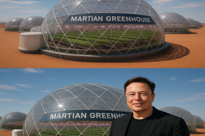 BREAKING: Elon Musk has set his sights on Africa for a stunning new project – a “SPACE FARM” with Mars-style greenhouses that could recreate the planet’s climate right here on Earth. But why he chose Africa, and the secret mission the farm could play, may be more ambitious than anyone imagined.