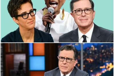 dq. Rachel Maddow, Stephen Colbert, and Joy Reid Leave Cable News Behind to Launch Independent Newsroom, Aiming to Redefine Journalism With Editorial Freedom, Investigative Reporting, and Digital Innovation
