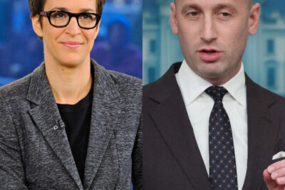“I Don’t Debate Monsters. I Expose Them.” — Rachel Maddow’s On-Air Takedown Leaves Stephen Miller Shattered and Washington Reeling