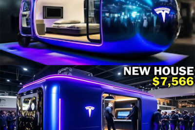 Americans Rush to Buy Elon Musk’s $19,999 Tesla Tiny House — What’s Inside Will Take Your Breath Away