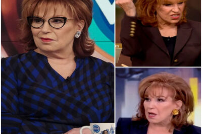 Listen to ‘The View’ Crowd Gasp as Joy Behar Accidentally Reveals How Stupid She Is