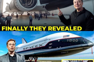 “This changes everything.” Elon Musk has just unveiled a hypersonic SpaceX jet that promises to slash travel times between planets—an announcement that has been hailed as a historic breakthrough. Is this the final leap that will make travel to Mars a reality in our lifetimes? And what secret technology is powering this next-generation jet? The answer may be even more surprising than you think.
