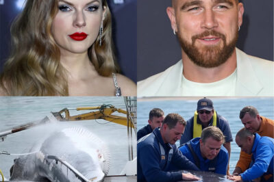 BREAKING NEWS: Football star Travis Kelce and Taylor Swift shocked everyone when they donated tens of millions of dollars to a whale protection project. He personally took care of injured whales and strongly called out: “The ocean is only truly wonderful when there are whales. Protect them to protect marine life!”…