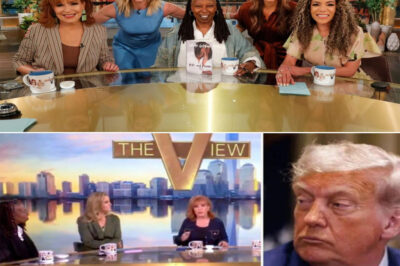 After decades of heated debate and cultural clashes, The View is finally coming to an end—and the fallout is bigger than anyone expected. Politics got louder, ratings dropped, and even the show’s iconic hosts couldn’t contain their emotions as they said goodbye. Joy Behar fought back tears. Whoopi Goldberg’s voice cracked. But behind the emotional farewell was a larger question: Why did The View really collapse, and what does its shocking demise reveal about the brutal new reality of daytime television?