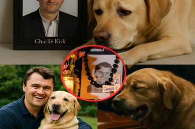 MORE THAN A GOODBYE: Charlie Kirk breathed his last at the age of 31, but it was his loyal dog who sat silently by his portrait — A haunting bark echoed through the room, leaving the nation wondering what only his loyal companion really knew
