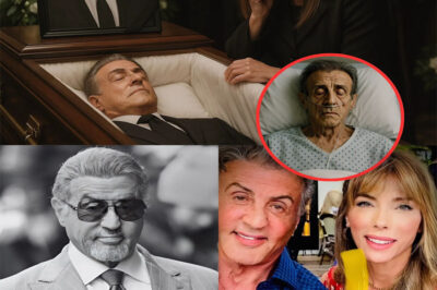 SAD NEWS: Hollywood was sh0cked when Sylvester Stallone suddenly collapsed at home, initially thought to be due to a flare-up of a long-term illness. His family tearfully confirmed the bad news but refused to reveal the real cause, and the half-hidden details are causing fans and the global media to stir that he had…