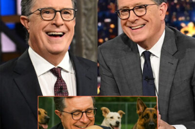 SH0CKING REVELATION: Stephen Colbert Pledges $20 Million to Create a “Heaven on Earth” for Abandoned Dogs