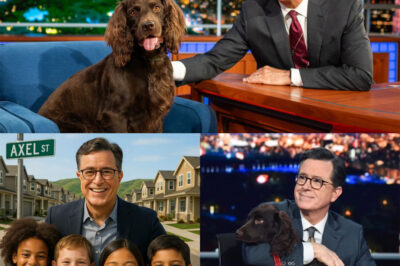 BREAKING: On the day an earthquake flattened an entire village and left families without homes, schools, or hope, Stephen Colbert quietly donated $10 million to an unexpected cause — But it wasn’t just the money that captured the hearts of many around the world, but the unimaginable gesture that followed, when he renamed a main street ‘Axel Street’ in memory of the dog who carried him through his loneliest years, leaving millions wondering what personal pain could inspire such a heartbreaking and beautiful tribute