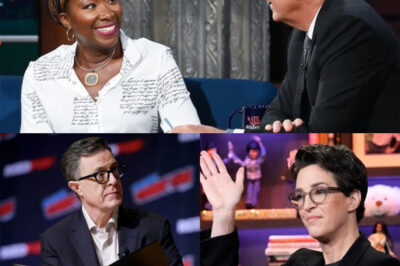 “NO BOSSES. NO SCRIPTS. JUST TRUTH — RACHEL MADDOW’S ROGUE NEWSROOM HAS ARRIVED ” It didn’t come with a press tour. No corporate rollout. No contracts leaked to the trades. It came quietly… then hit like a bomb. Maddow, Colbert, and Reid have launched a news experiment unlike anything we’ve seen — and it’s already shaking the foundations of cable media. Their promise? Honest reporting. Satire with teeth. Investigations no one else will touch. And most of all: a direct connection with viewers — not shareholders.