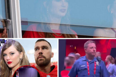 Friends revealed the chilling reason why Taylor Swift had to hide behind a bulletproof shield when attending the stadium to cheer for her fiancé Travis Kelce. Fans were extremely worried for Taylor after finding out about this.