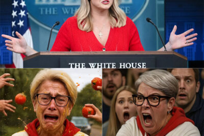 NATIONAL POLITICAL EARTHQUAKE: Karoline Leavitt harshly calls “Phillies Karen” a “STAIN ON THE DEMOCRATIC PARTY” — From a stolen baseball to a fiery statement that shook Washington
