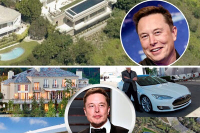 You are here: Home / Uncategorized / Elon Musk’s $35 million Texas estate was designed for all 11 of his children — and it reveals a side of him the world rarely sees .MD Elon Musk’s $35 million Texas estate was designed for all 11 of his children — and it reveals a side of him the world rarely sees .