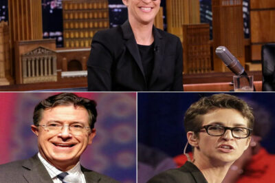 MEDIA EARTHQUAKE: RACHEL MADDOW QUIETLY BUILDS THE NEWSROOM MSNBC NEVER DARED TO IMAGINE