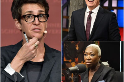 The Rebellion of the Talking Heads: How Maddow, Colbert, and Reid Ditched Corporate News to Build a Media Revolution