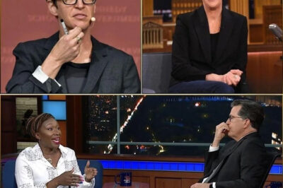 BIG BANG: Rachel Maddow has just pulled back the curtain on a newsroom unlike anything mainstream media has dared to attempt—one designed to rip through censorship, expose manipulation, and call out the press itself as complicit. No corporate leash. No political strings. No gatekeepers. Just a radical promise: accountability to no one but the truth. But the bigger question lingers—could Maddow’s gamble ignite a media revolution powerful enough to shake the entire industry to its core?