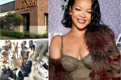 Rihanna is pouring $5 million into what she calls “Dogtopia”—a sprawling 15-acre sanctuary rising near Barbados. But this isn’t your typical shelter. Designed as a full-scale healing haven, it offers everything from training camps and water parks to round-the-clock veterinary care. At its heart, though, Rihanna says, is love: a mission to give abused, abandoned, and traumatized dogs a second chance at life. Why did she take on this cause, and could Dogtopia become the blueprint for a global movement in animal care? The answers might surprise you.