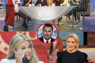 Morning TV Reborn: ABC Axes The View, Launches The Charlie Kirk Show — Erika Kirk Inspires, Megyn Kelly Cuts Sharp, Audience Stunned!