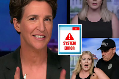 “I WILL NOT BACK DOWN!” With just four words, Karoline Leavitt pushed Rachel Maddow past the breaking point — triggering a live on-air meltdown and a call for security. But it wasn’t the clash that stunned viewers most. When the camera zoomed in, something happened that froze the entire room in silence. What did the audience see that left everyone speechless?