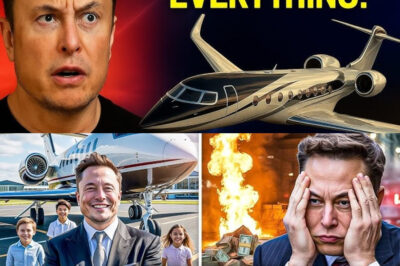 Inside Elon Musk’s $300M Jet Collection, $80M Homes & Insane Flexes