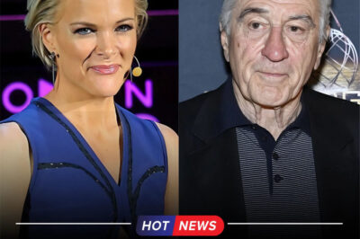 “I DON’T CARE WHAT YOU THINK OF ME.” Eight words-Megyn Kelly smirked, called him “extremely stupid,” certain she’d broken him. But Robert De Niro didn’t flinch. He fired back, and in that instant… the studio went silent