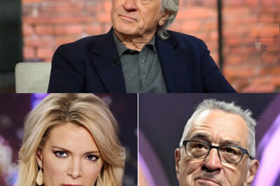 “I don’t care what you think of me.” Robert De Niro silenced Megyn Kelly live on air with eight words that didn’t just quiet the studio—they shifted the energy, the ratings, and the balance of power.