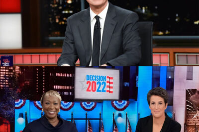 Rachel Maddow, Stephen Colbert, and Joy Reid Launch Revolutionary Independent Newsroom Aiming to Break Media Censorship and Expose Corruption