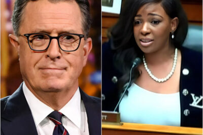 The Anatomy of a Viral Hoax: Why the Internet is Desperate for a Colbert-Crockett TV Show