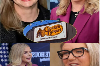 “LIVE FIRESTORM — Karoline Leavitt TORCHES Cracker Barrel CEO Julie Felss Masino as ‘High-Level Racist’ After Logo Uproar & $250M Stock Crash”