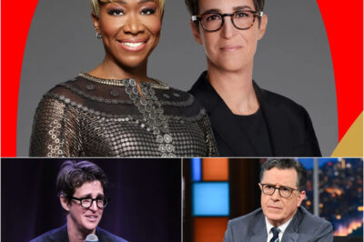 Rachel Maddow, Stephen Colbert, and Joy Reid Launch Revolutionary Independent Newsroom Aiming to Break Media Censorship and Expose Corruption