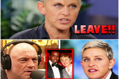 BREAKING: Ellen DeGeneres was left stunned when Joe Rogan, unexpectedly, unexpectedly, revealed a secret she had tried to keep hidden for years. The stunned silence that followed left viewers glued to their screens, wondering if Ellen’s carefully crafted image had just been shattered. What exactly did Rogan expose, and why did the fallout send shockwaves through Hollywood?
