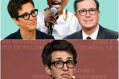 “NO BOSSES. NO SCRIPTS. JUST TRUTH — MADDOW, COLBERT & REID LAUNCH REBEL NEWSROOM THAT’S SHAKING CABLE TV