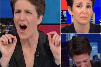 The Night Rachel Maddow Broke Down on Air: The Moment News Became Too Real—And Why That Silence Still Echoes in 2025