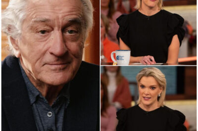 A live-television confrontation stunned a legendary actor and a media powerhouse. When Megyn Kelly called Robert De Niro’s political statements “absolutely stupid” on air, his response was so sharp and calculated that the studio fell silent. It wasn’t just a retort—it was a masterful display of controlled defiance. What exactly did he say, and why might it forever change the way celebrities interact with the press? The full story—and all the shocking details—is here.