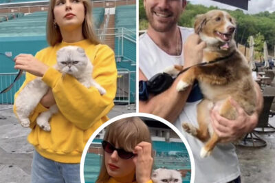 Taylor Swift just made a hilarious—but nerve-wracking—confession: her cat has a deep-seated feud with Travis Kelce, and the reason is as petty as it is priceless. It all started with the smell of… dog. But the real chaos began the day Travis brought his pup to Taylor’s house—and the aftermath was so awkward, so unforgettable, that the couple has tried to keep it under wraps ever since. What really happened behind closed doors? Fans are dying to know.