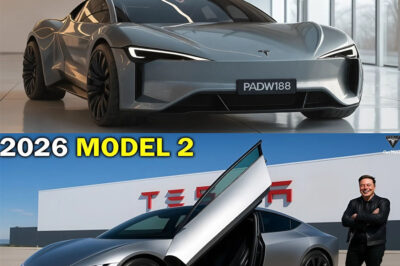 2026 Tesla Model 2 Debuts for Just $15,990 – Just Rolling Out of Fremont Factory! Elon Musk has revealed shocking details that could turn the entire auto industry upside down. How can Tesla offer such a low price, and what hidden features make this car different from anything we’ve seen before? The answer could change the future of the auto industry forever.