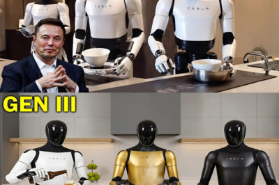 Tesla Bot Gen 3 Finally UPDATED With 3,500 NEW Tasks! From cooking gourmet meals to cleaning your house and even serving beer, the latest Tesla Bot upgrade is taking home robotics to a whole new level.