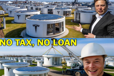Elon Musk Announces NEW $7,999 Tesla Tiny House Is Finally Here! Fully solar-powered, AI-controlled, and promising free land & zero taxes this could be the home that changes everything.