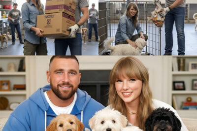 Travis Kelce and Taylor Swift Save Struggling Animal Shelter With Late-Night Delivery — and Leave Mysterious Envelope Behind