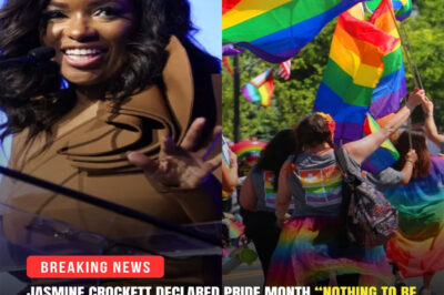 “PRIDE MONTH IS NOTHING TO BE PROUD OF ANYMORE!” — Dr. Jasmine Crockett’s words, like a knife in the heart of America, created a dead studio, silence, a breathless audience, and a media frenzy. Amidst the controversy over the LGBT community that was tearing the country apart, Crockett didn’t need to hit back: “We’ve turned pride into a noisy spectacle, forgotten what it once stood for…
