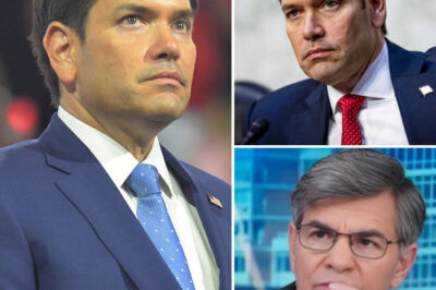 Marco Rubio Silences ABC Host — Walks Out After Trump Question Gets Destroyed On Live TV
