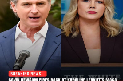 GAVIN NEWSOM INCINERATES MAGA’S NEW STAR! Governor Newsom just dropped a SH0CKWAVE WARNING after Press Secretary Karoline Leavitt’s VILE SMASH accused the Democratic Party of catering to “HAMAS TERRORISTS, ILLEGAL ALIENS, AND VIOLENT CRIMINALS!” This wasn’t just a smear—it was a declaration of war that makes the “basket of deplorables” look like a pleasant dinner chat!…