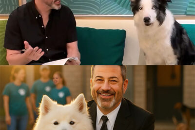 Jimmy Kimmel’s Quiet Heroism: How One Man Saved 39 Dogs and a Shelter from Closure…