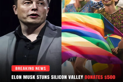 Elon Musk has pledged $500 million to support the LGBTQIA+ community, saying: “What needs healing isn’t people, but prejudice and I hope they find that healing soon.”