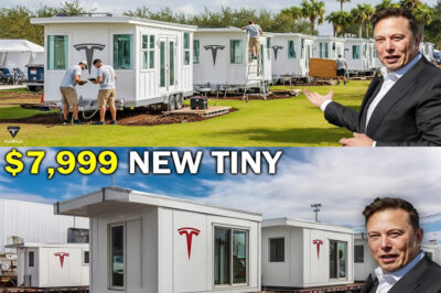 Elon Musk Announces FIRST $7,999 Tesla Tiny House Finally DELIVERED! Free Land & $0 Tax | Inside COOL